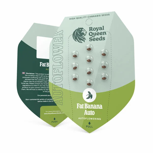 Royal Queen Seeds – Fat Banana Auto Feminized Seeds (Banana Kush Indica Autoflower) - 3 Seeds