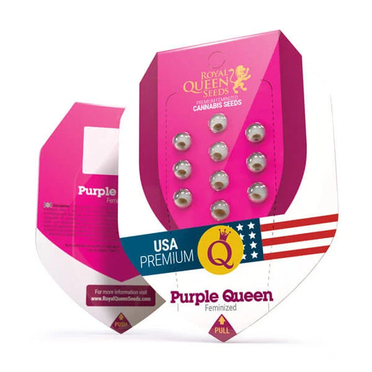 Royal Queen Seeds – Purple Queen Feminized Seeds (Purple Kush Hybrid) - 3 Seeds